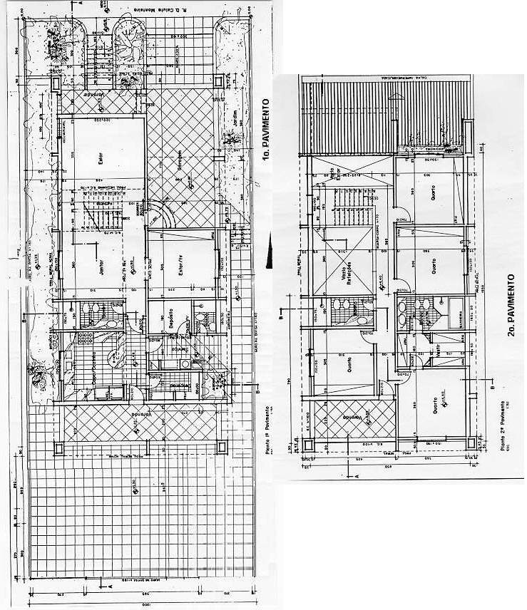 planta.jpg (150003 bytes)